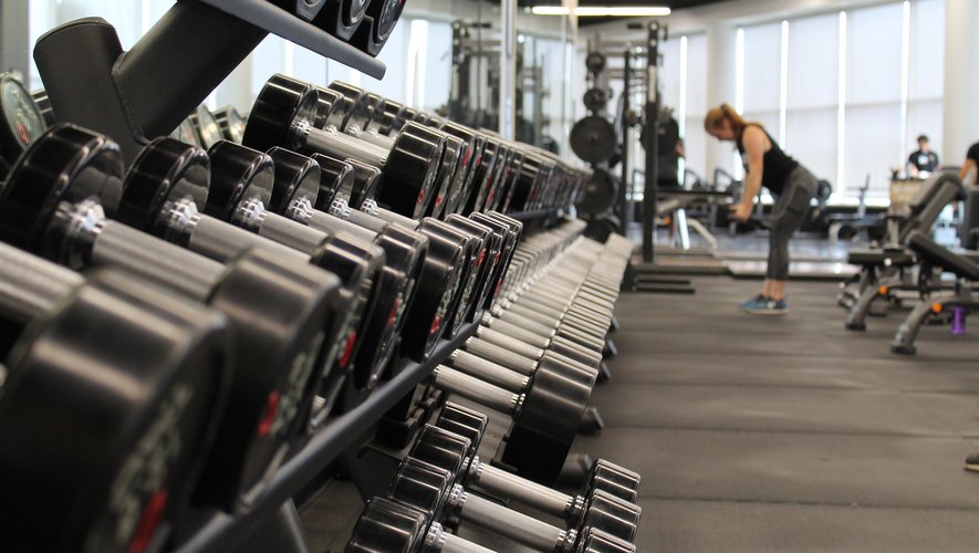 Évolution du chiffre d’affaires des clubs de fitness.